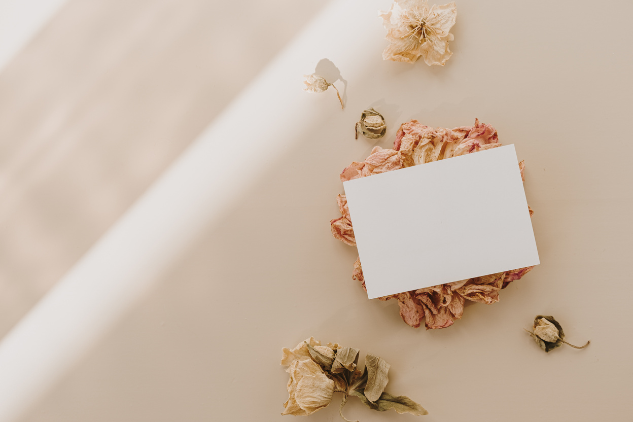 Business Card with Dried Flowers on White Background